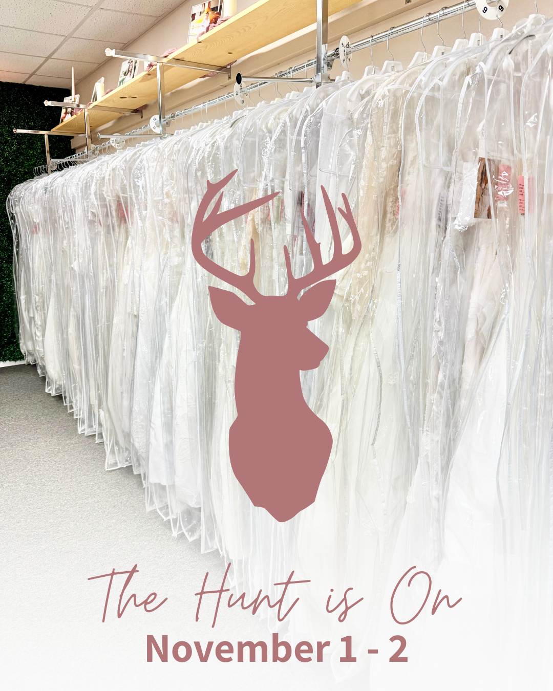 The Hunt Is On