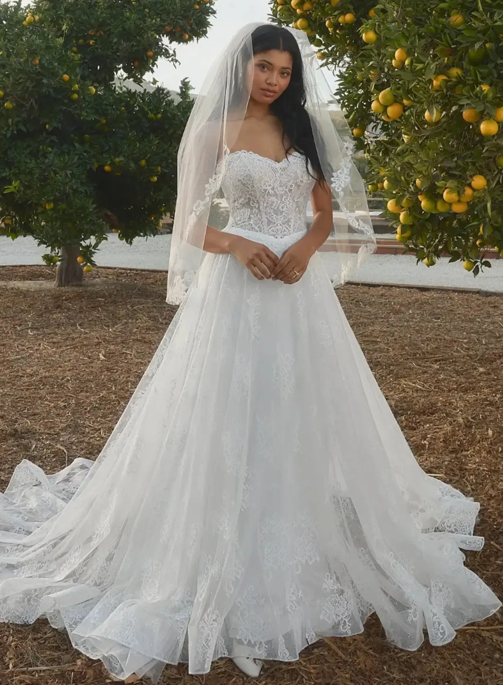 Beloved by Casablanca