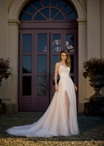 Randy Fenoli #Jocelyn #5 thumbnail